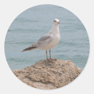 De Lone Seagull (2134) Ronde sticker