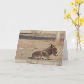 De Lonely Donkey Kaart (Gele Bloem)