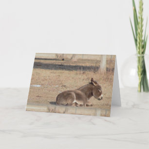 De Lonely Donkey Kaart