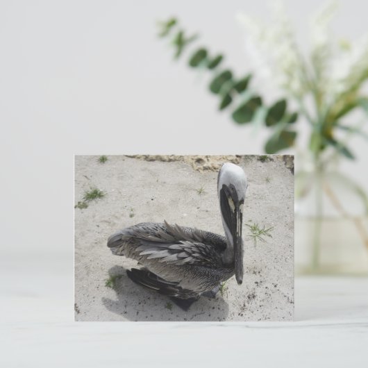 De Lonely Pelican Briefkaart (Staand voorkant)