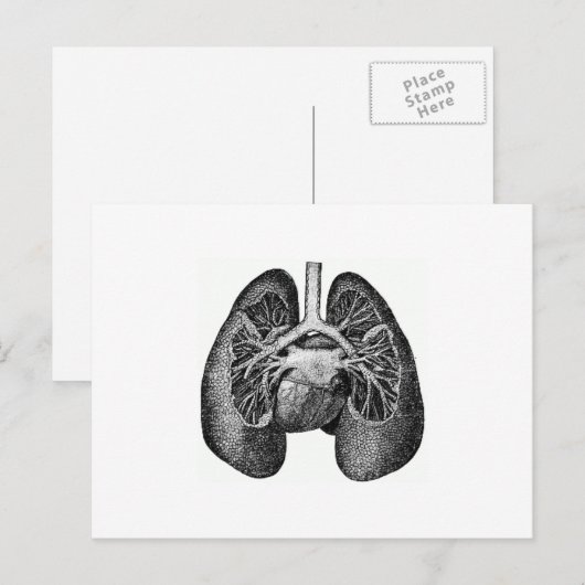 De longen en het hart briefkaart (Voorkant / Achterkant)