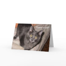 De look van de liefde Valentijnsdag Wenskaart