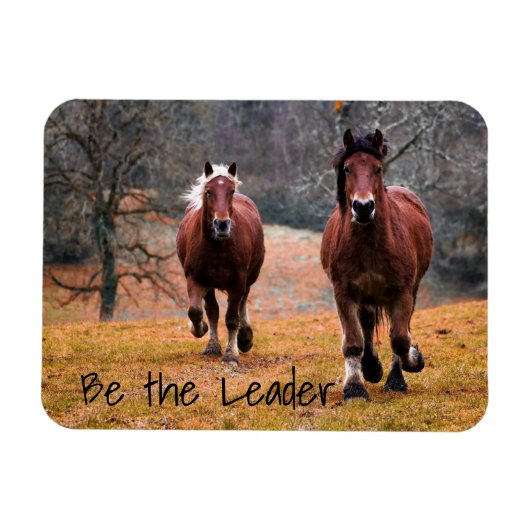 De looppaarden zijn de leider magneet (Horizontaal)