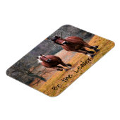 De looppaarden zijn de leider magneet (Linkerzijde)