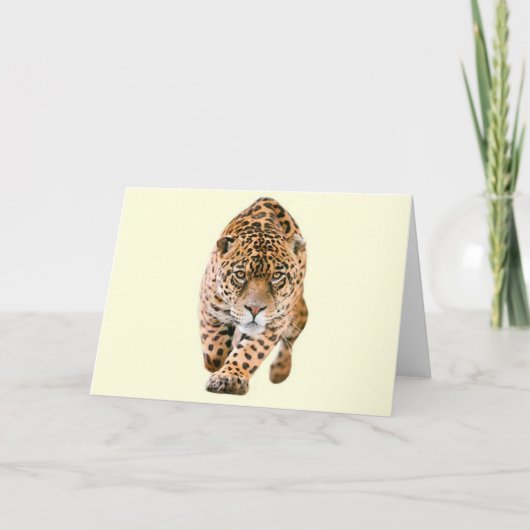 De lopende Ogen van Jaguar Kaart (Voorkant)