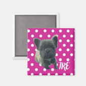 De Louis Magnet - 20% donatie aan The Rescue Expr (Voorkant / Achterkant)