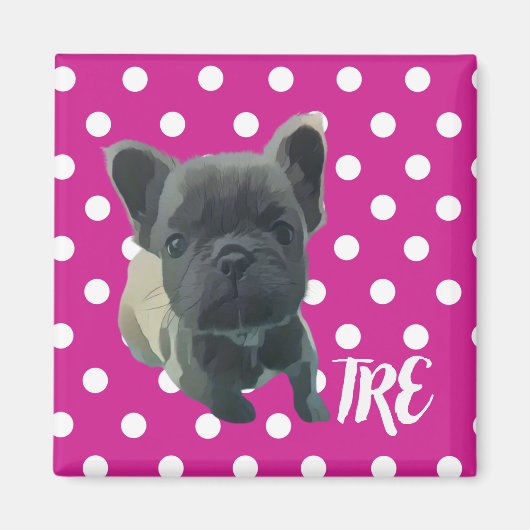 De Louis Magnet - 20% donatie aan The Rescue Expr (Voorkant)