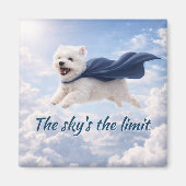 De lucht is de limiet magneet (Voorkant)
