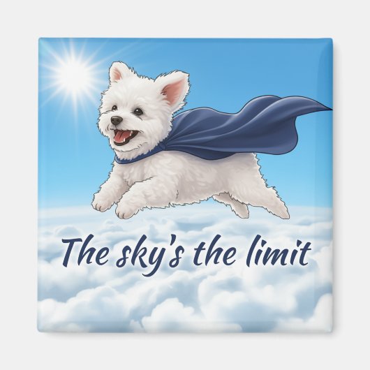 De lucht is de limiet magneet (Voorkant)