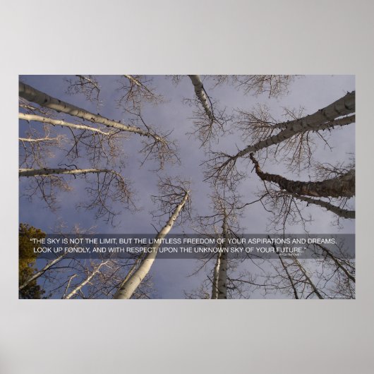 De lucht is niet de grens... poster (Voorkant)