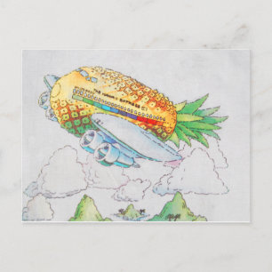 De luchthaven Hawaii Express Briefkaart