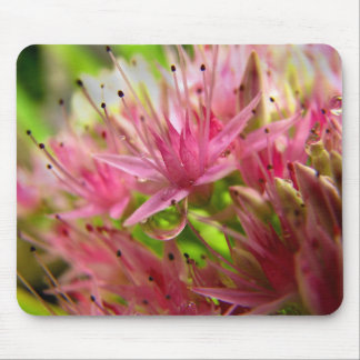 De luchtkroon muismat