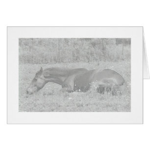 De luie Dagen van de Zomer