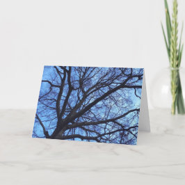 De Luifel van de boom tegen een Blauwe Hemel van Feestdagen Kaart