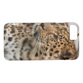 De luipaard Case-Mate iPhone case (Achterkant (Horizontaal))