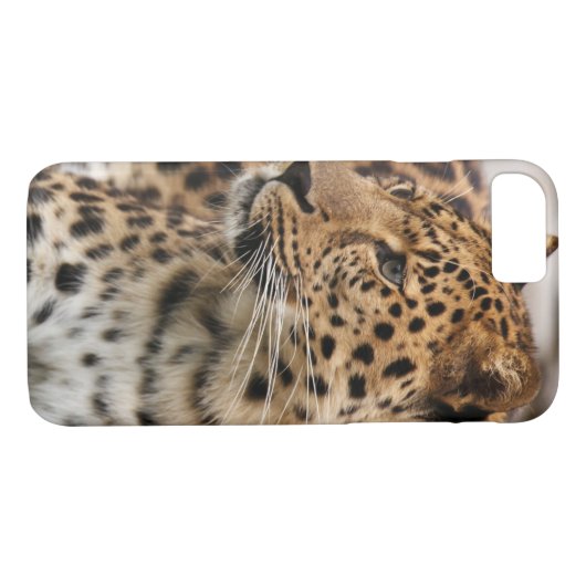 De luipaard Case-Mate iPhone case (Achterkant (Horizontaal))