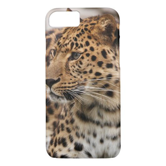 De luipaard Case-Mate iPhone case (Achterkant)