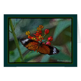 De luipaard lacewing (Cethosia cyane) Butterfly