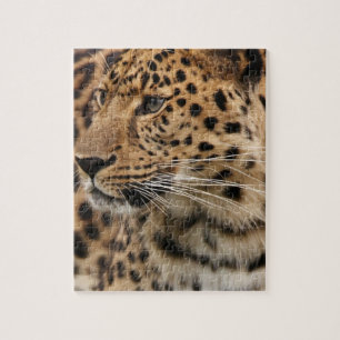 De luipaard legpuzzel