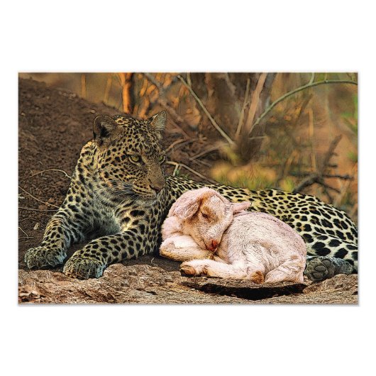 De luipaard moet liggen bij het kind-Isaiah 11 Foto Afdruk (Voorkant)