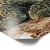 De luipaard moet liggen bij het kind-Isaiah 11 Foto Afdruk (Hoek)