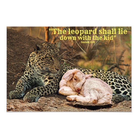 De luipaard moet liggen bij het kind-Isaiah 11 Foto Afdruk (Voorkant)