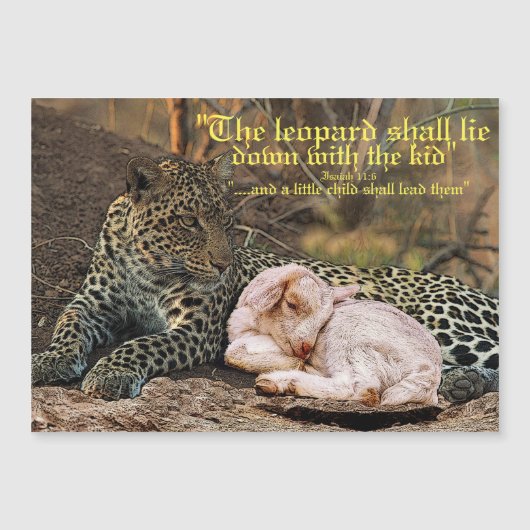 De luipaard moet liggen met de lamb-Isaiah 11 (Voorkant)
