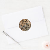 De luipaard ronde sticker (Envelop)