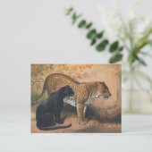 De luipaard van Joseph Wolf Briefkaart (Staand voorkant)