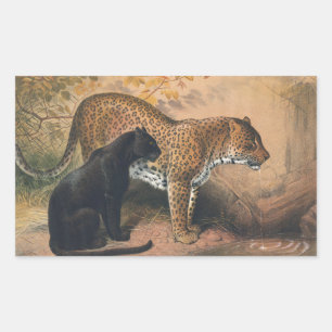 De luipaard van Joseph Wolf Rechthoekige Sticker