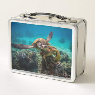 De lunchbox van Honu