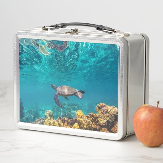 De lunchbox van Honu (In situ)