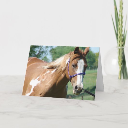 De Lungeline is aan het flikken Kaart (Voorkant)