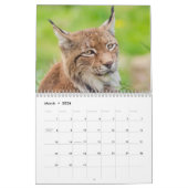 De Lynx Wildlife Calendar Kalender (Mar 2026)