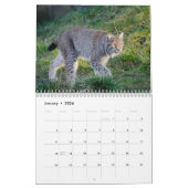 De Lynx Wildlife Calendar Kalender (Jan 2026)