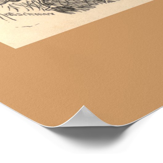 De Lyre-vogel Poster (Hoek)