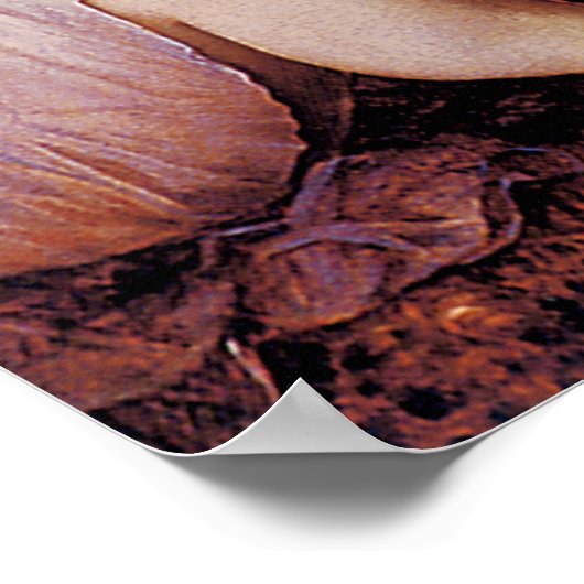 De Maagd en het Kind met Saint Elizabeth Poster (Hoek)