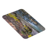 De maagd in de herfst in het Nationaal Park Zion Magneet (Rechterzijde)