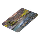 De maagd in de herfst in het Nationaal Park Zion Magneet (Linkerzijde)