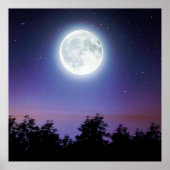 de maan boven het bos poster (Voorkant)