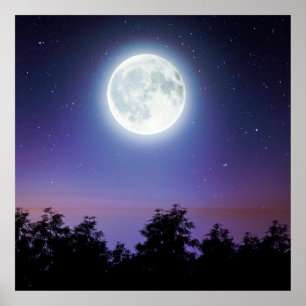 de maan boven het bos poster