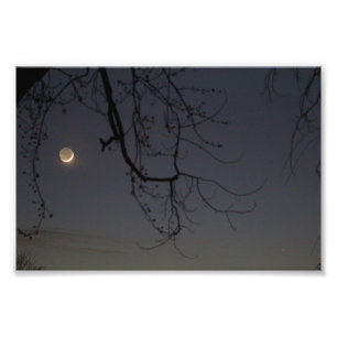 De maan en Kwik Foto Afdruk