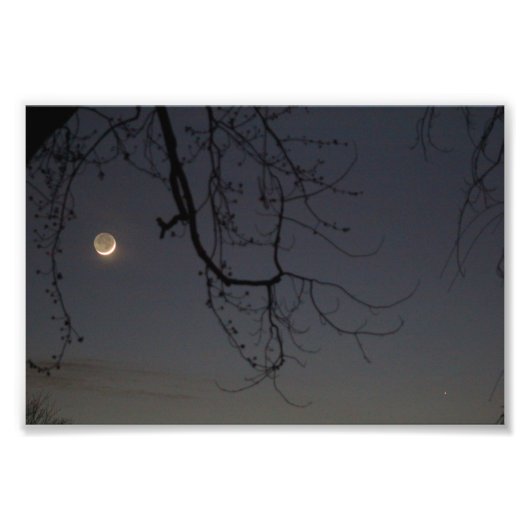 De maan en Kwik Foto Afdruk (Voorkant)