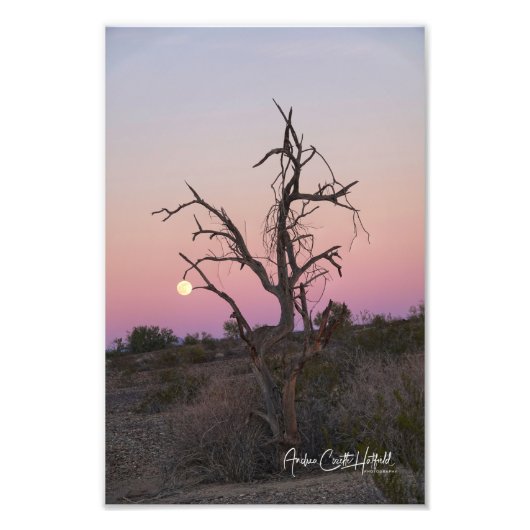 De maan omslaan foto afdruk (Voorkant)