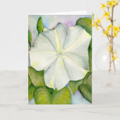 De "maan van Gramma" - aan voordeel Kairos buiten Kaart (Gele Bloem)