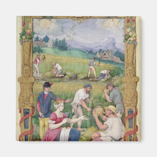 De maand augustus: de oogst magneet (Voorkant)