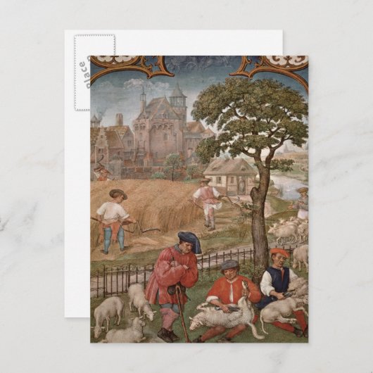 De maand juli briefkaart (Voorkant / Achterkant)