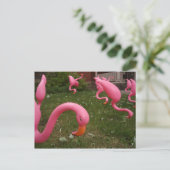 De maart van het roze Briefkaart Flamingos (Staand voorkant)