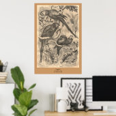 De Macaw Poster (Thuiskantoor)