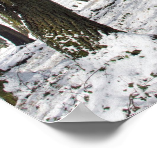 De macclesfield Forest winter Card Canvas afdrukke Poster (Hoek)